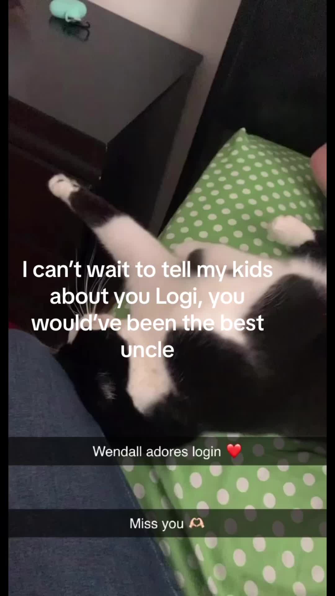 @user8282929236363882