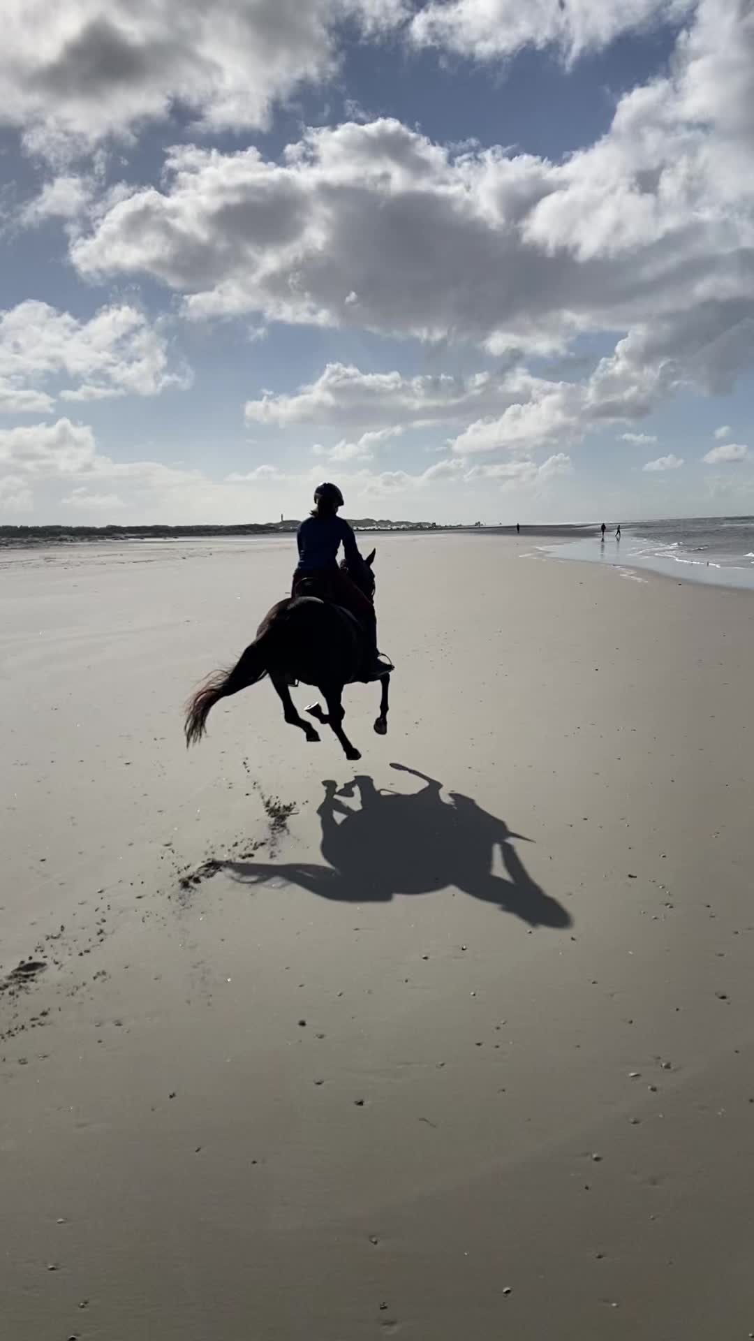 @reiterhof.andresen.amrum