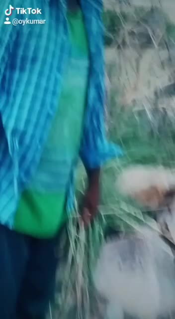 @user366911chinna