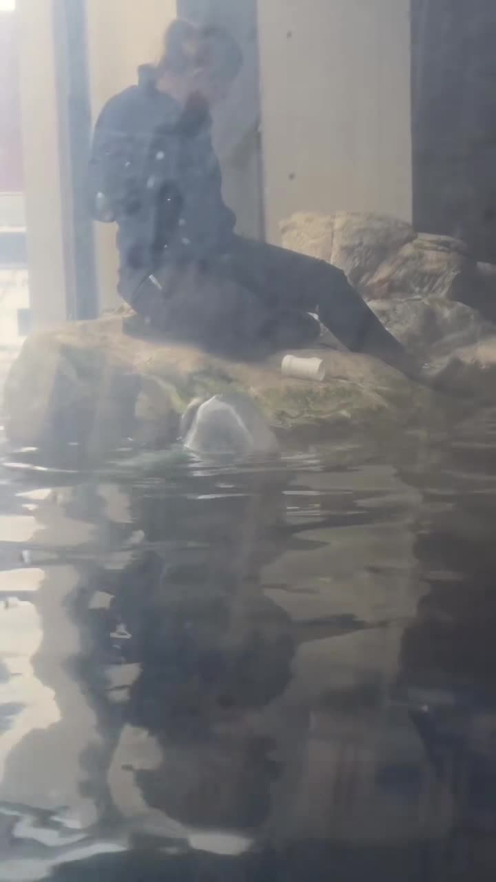 @Wei微