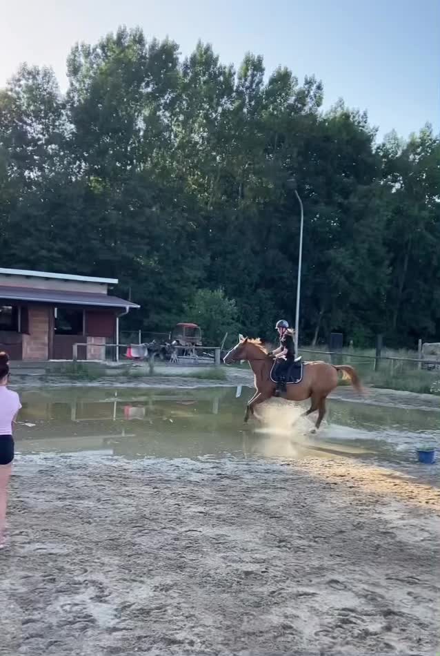 @W🦄