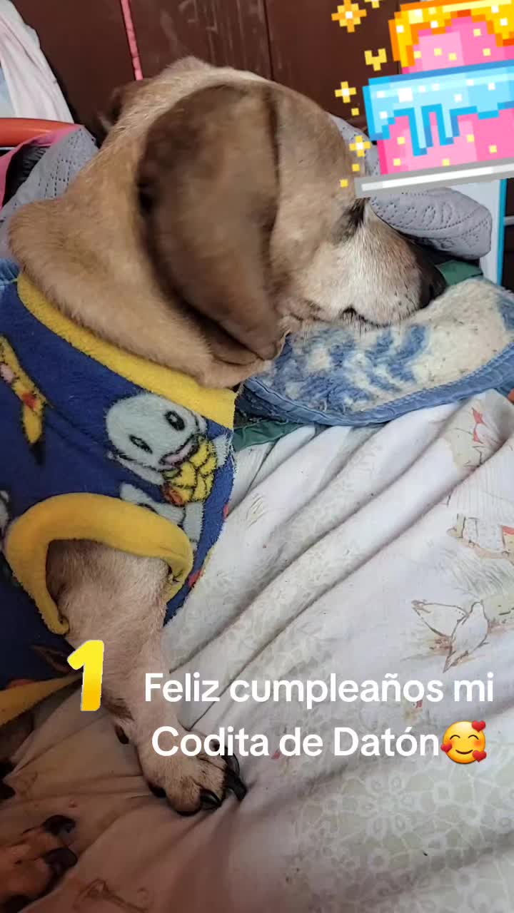 @Rosy Elena Araneda Andrade