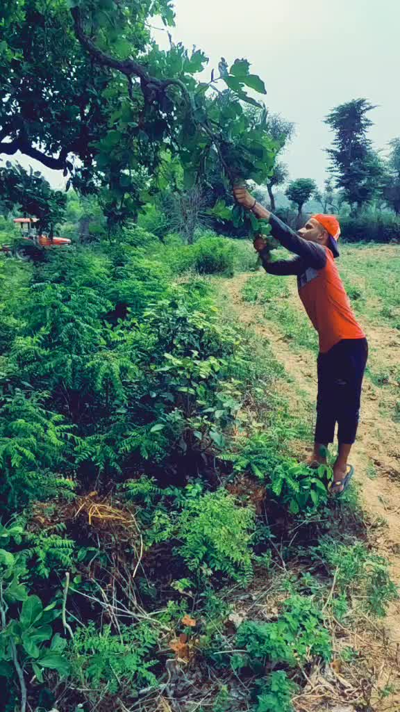 @Sachin__Jaryal