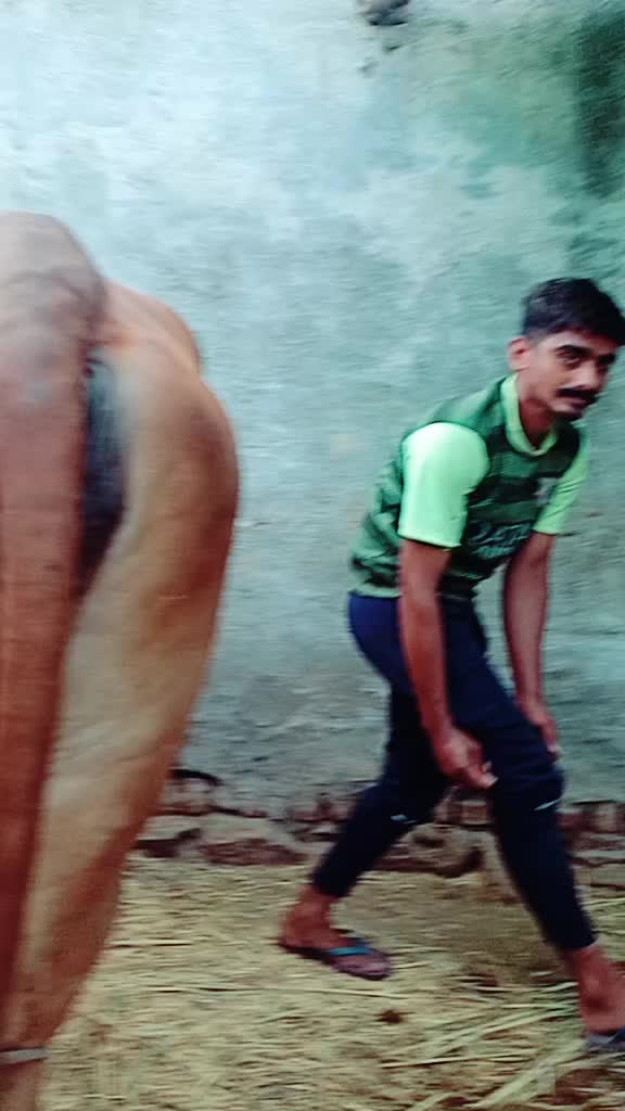 @Mojilo.MalDhari