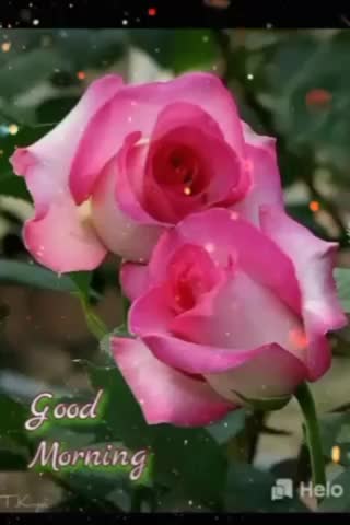 @mahanabalaram021