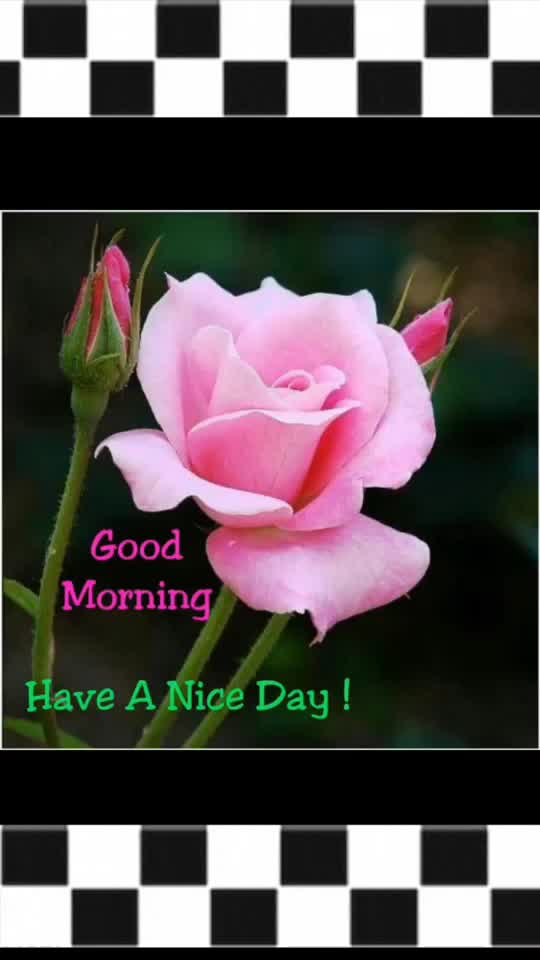 @ABHI