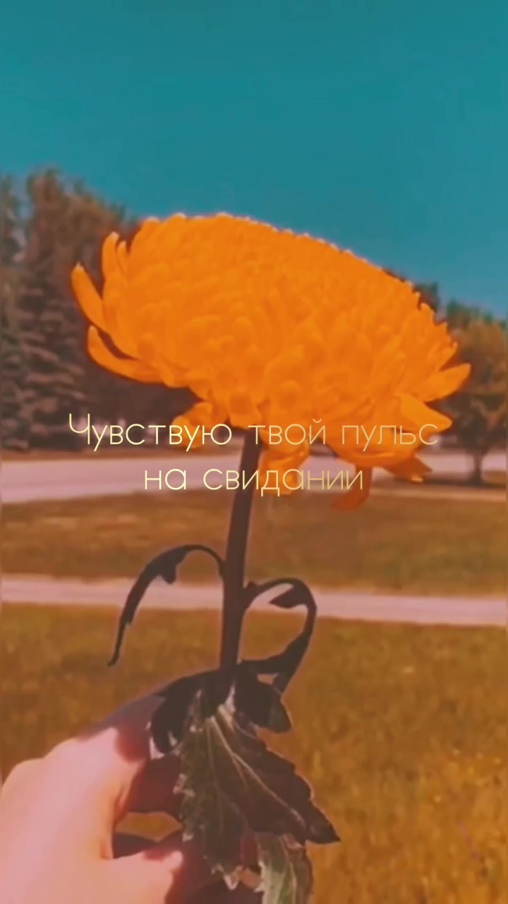 @Liya_S