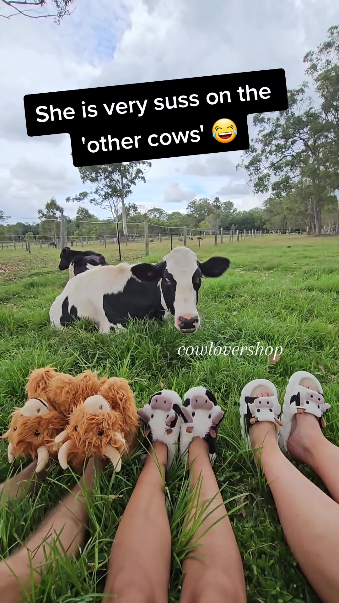@CowLoverShop