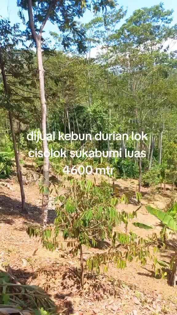 @JISIR