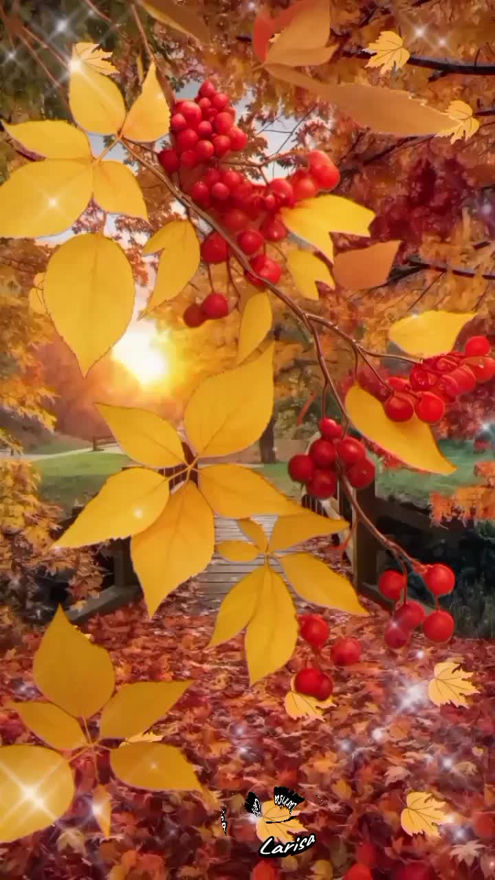 @ЛАРИСА