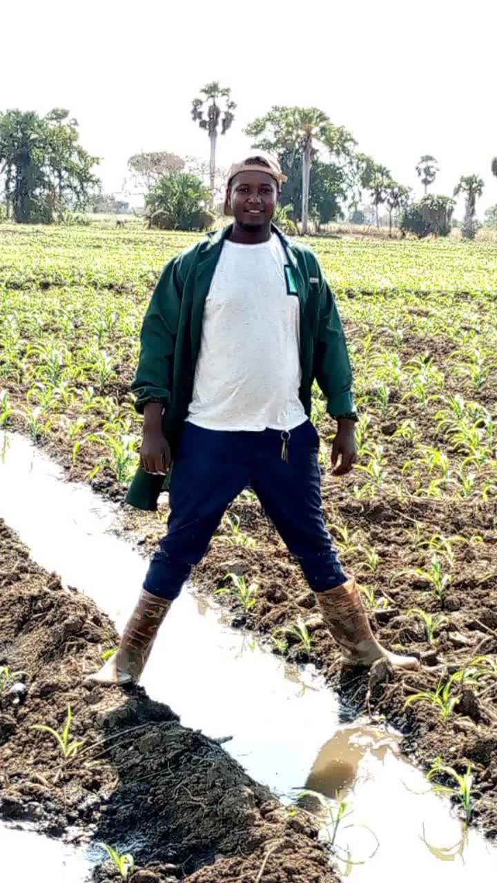 @user565810775125