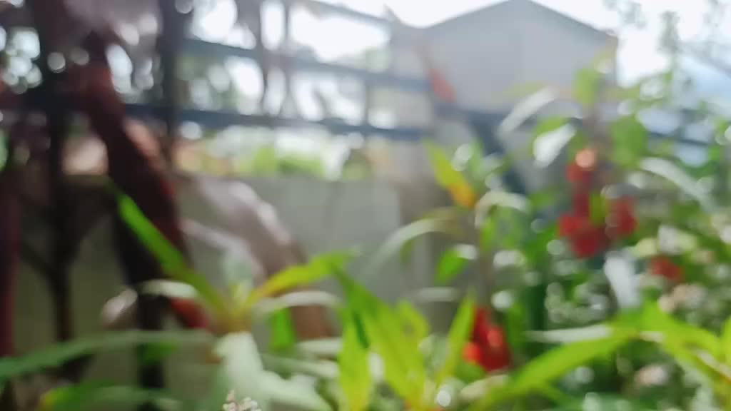 @Byju Balachandran
