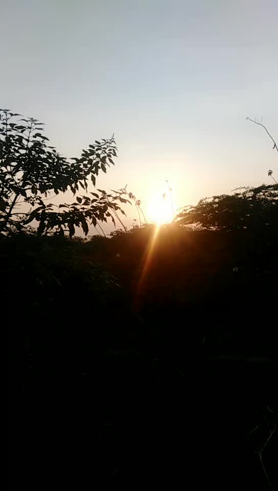 @Siva Sankaran
