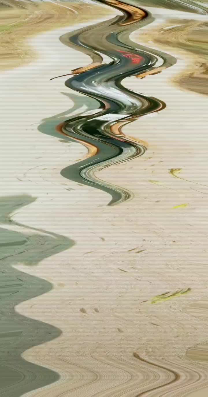 @user8889324861768