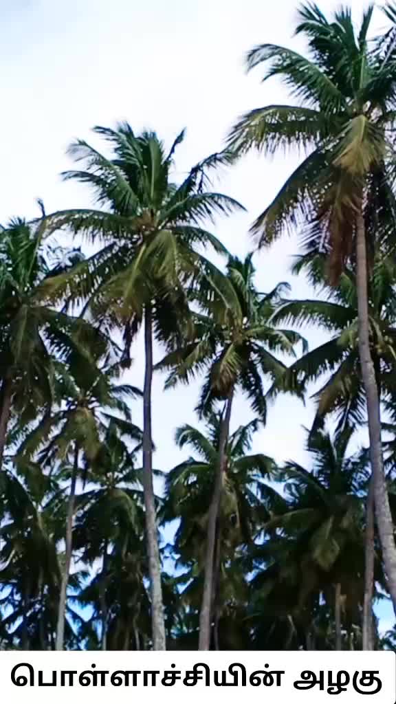 @Thiru Thiru