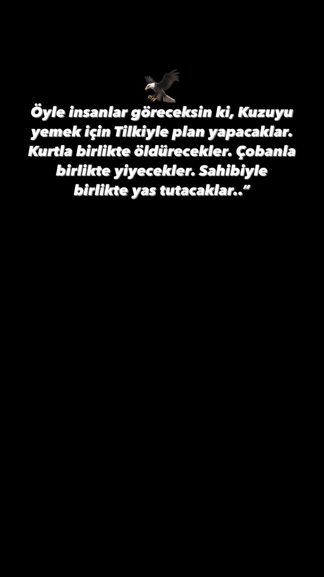 @illegalstory1🦅