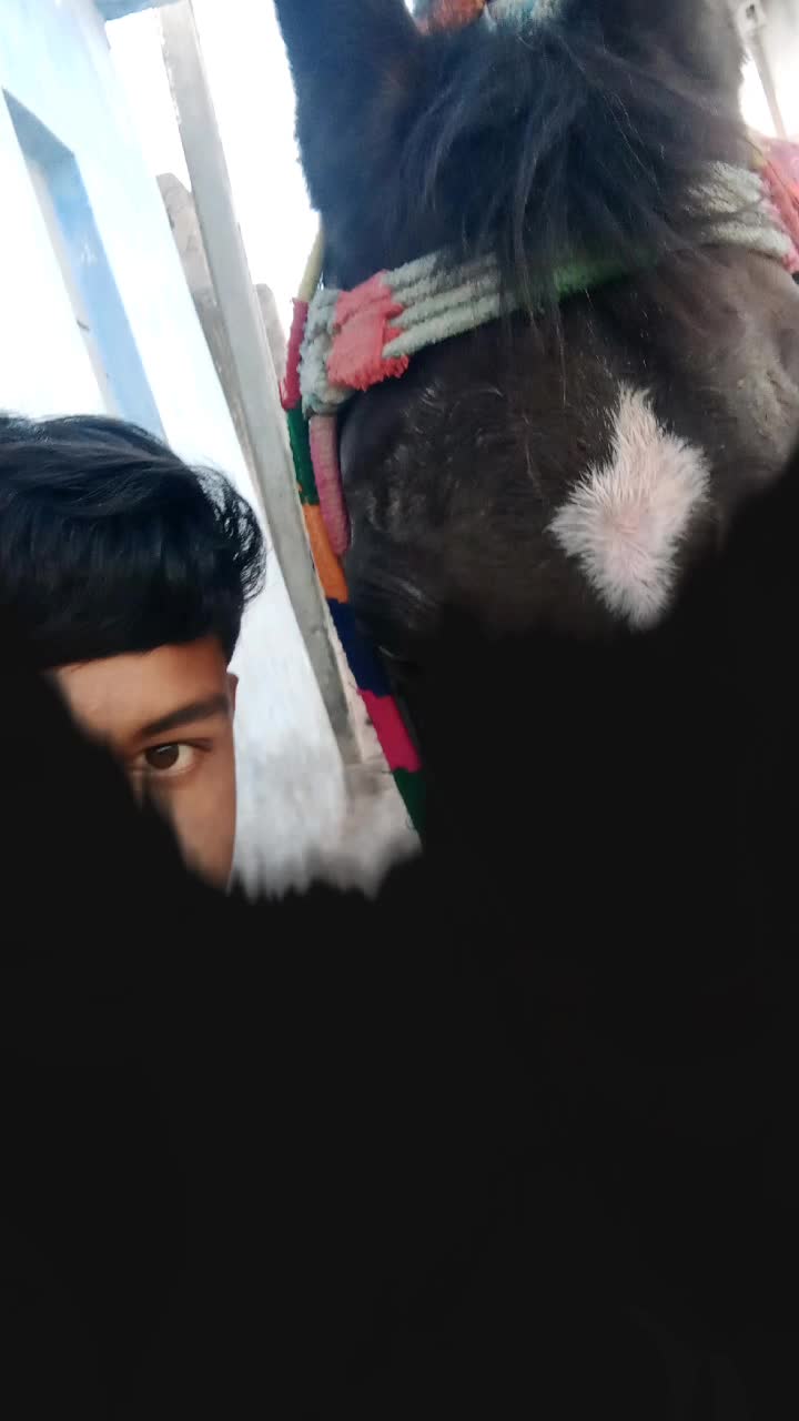 @🙏 દેગામા છોરૂ 🙏 👑
