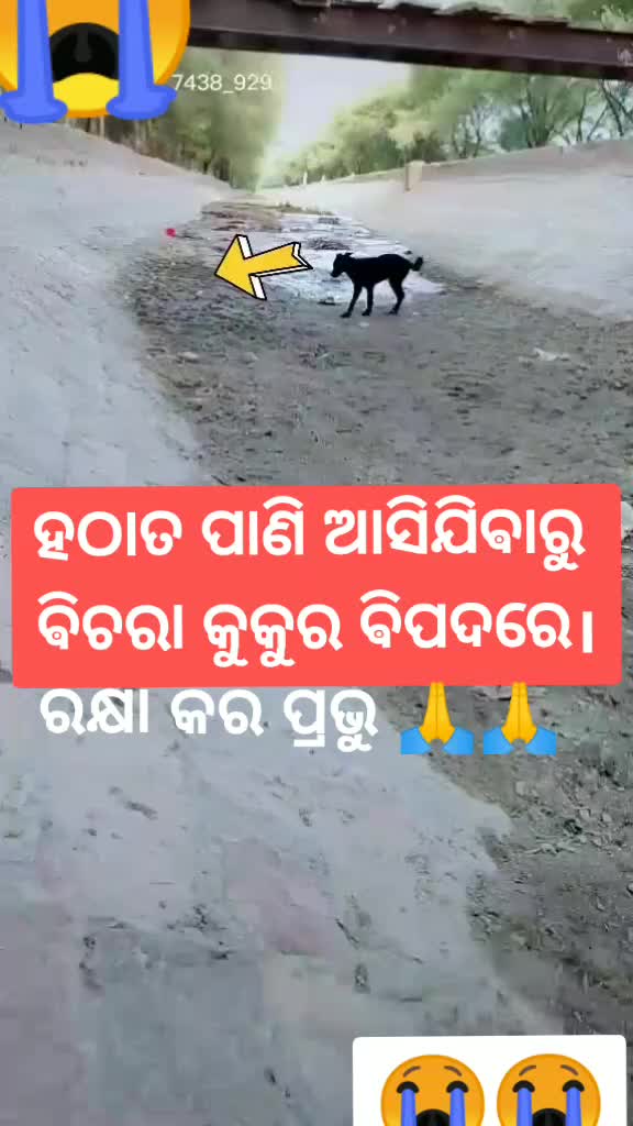 @user56476053001