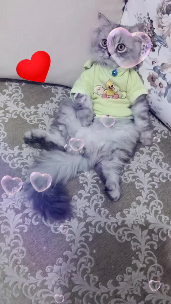 @Hiranur babayiğit