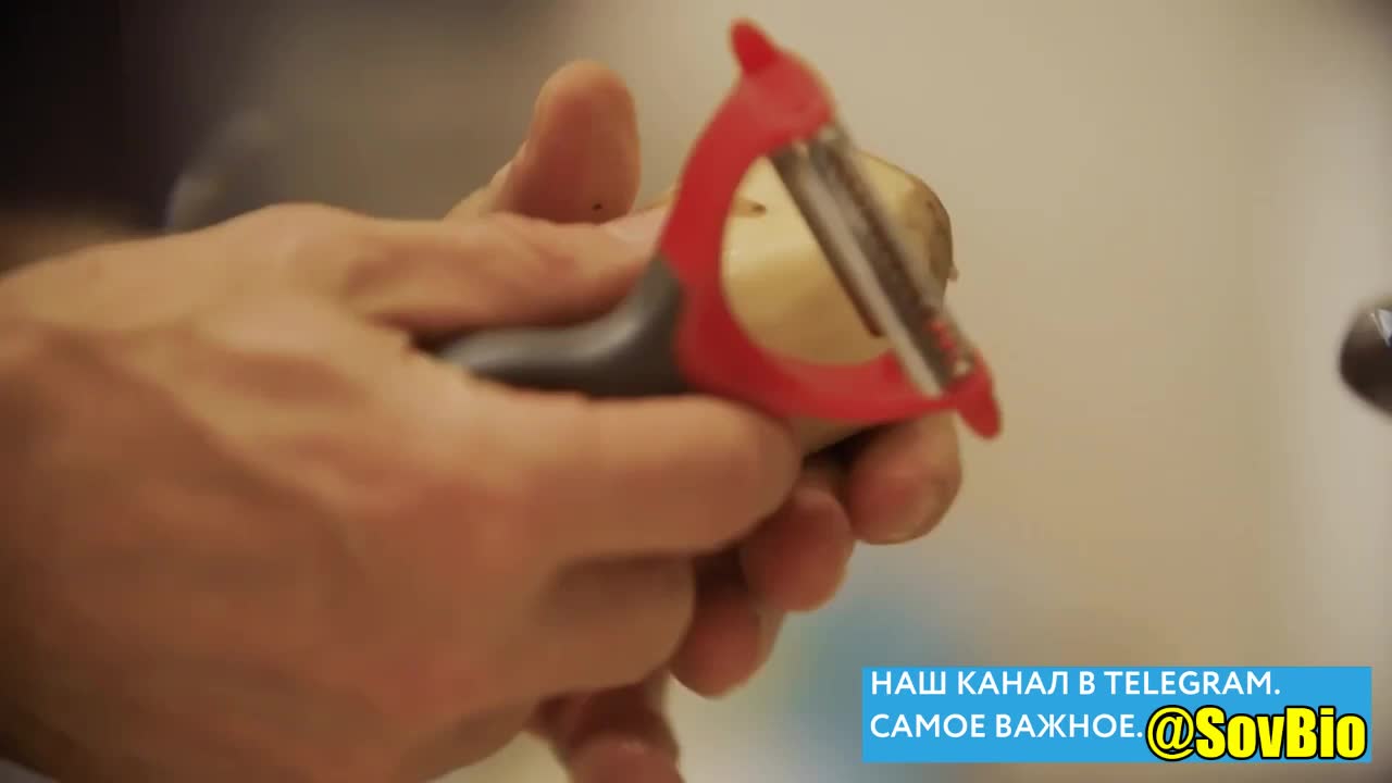@СОВЕТЫ БИОЛОГА