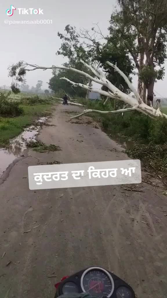 @S K Rajput