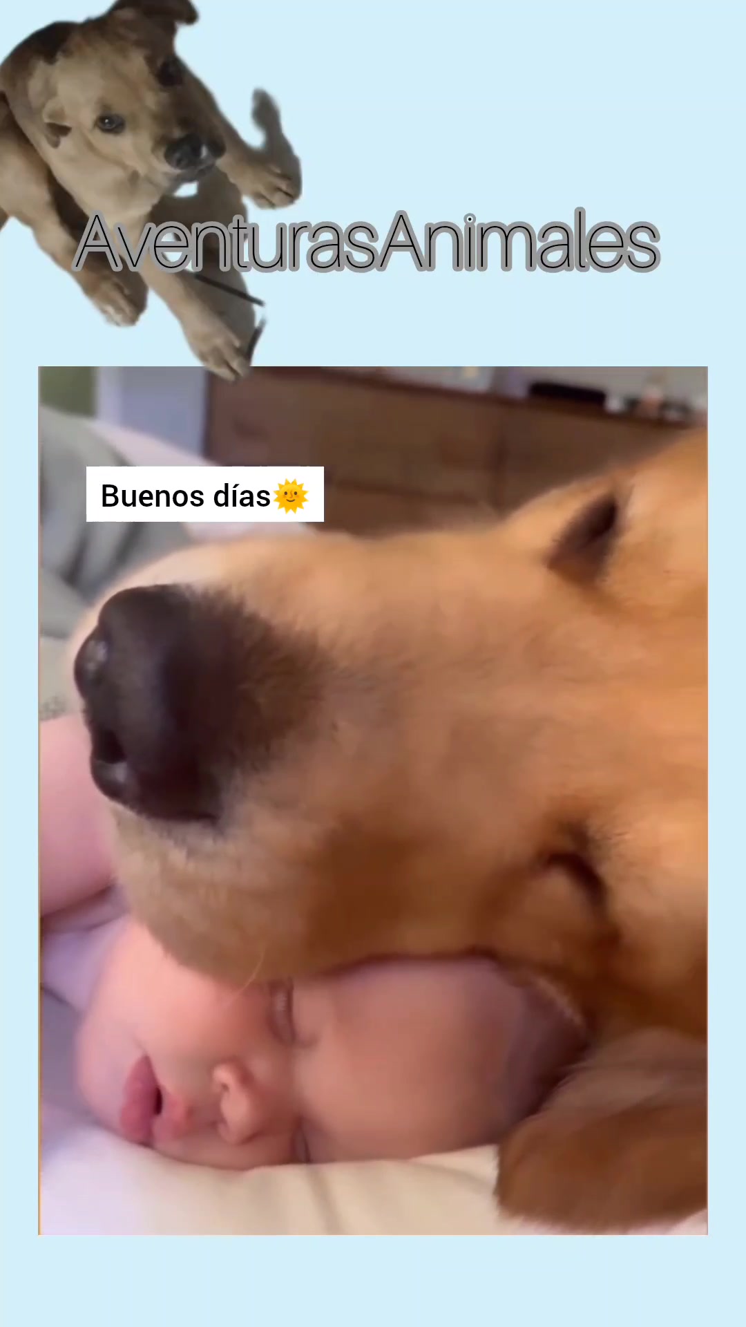 @AventurasAnimales