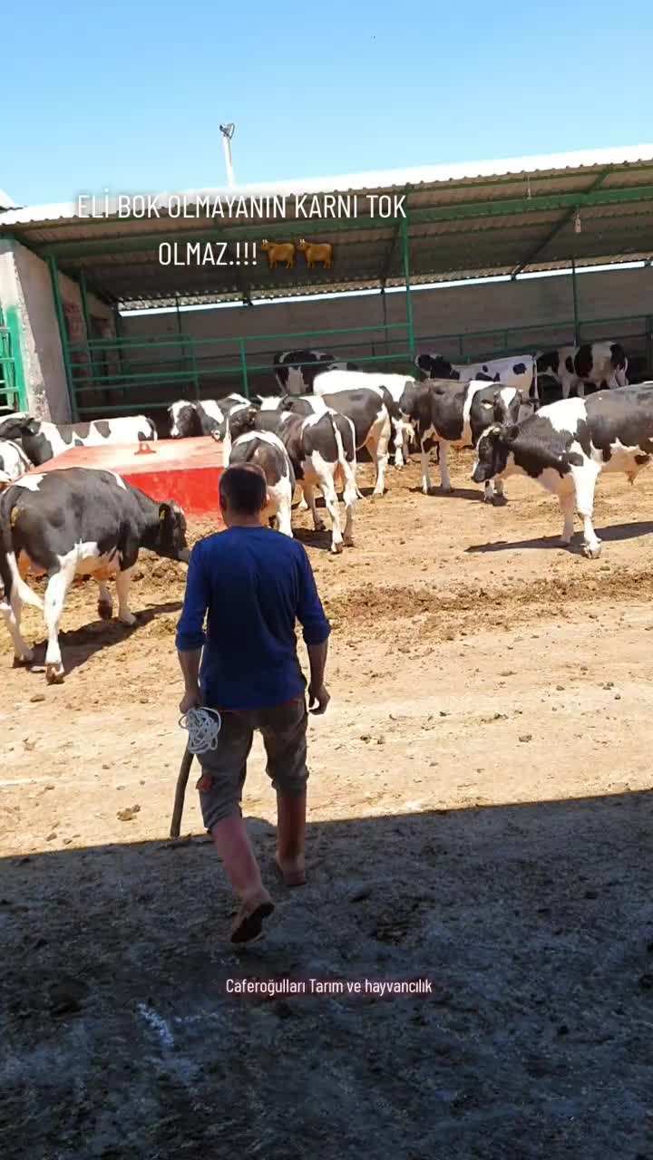 @Ömer Barış Kul