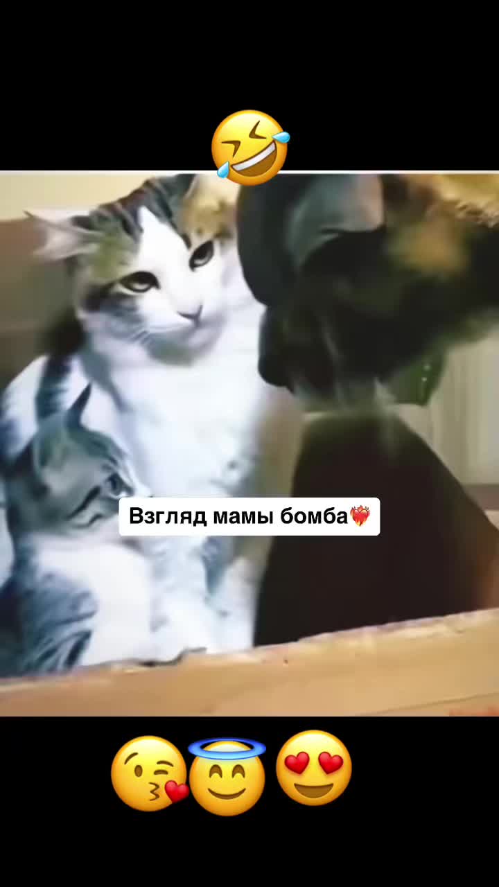 @@BOOMNAJIM