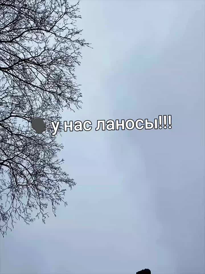 @sanya9540