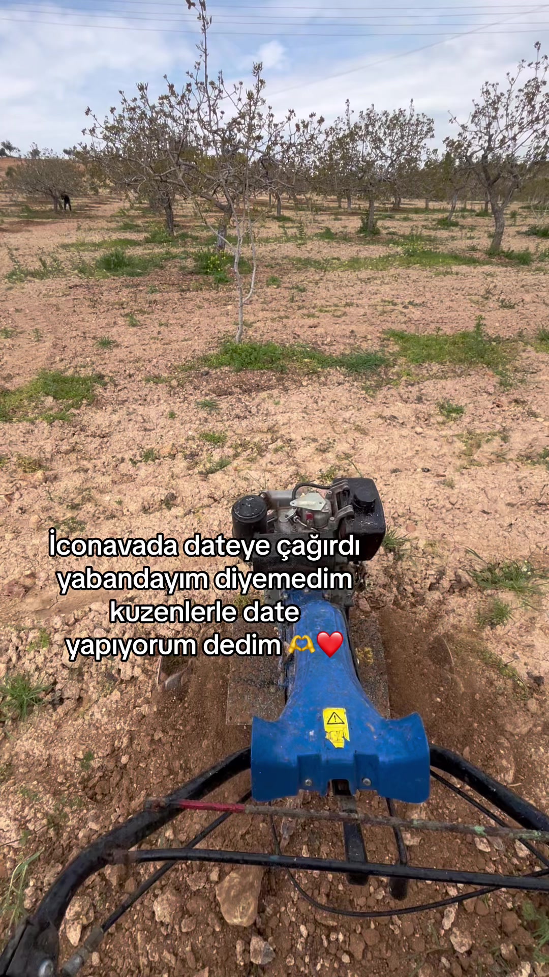 @user53668539413
