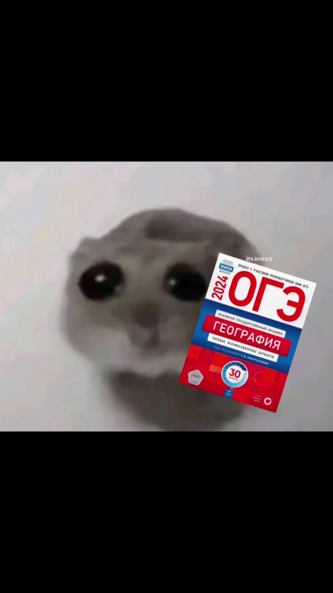 @its.sonnx