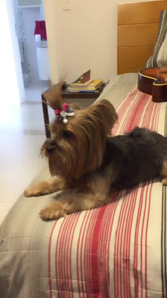 @Cacau Luiza