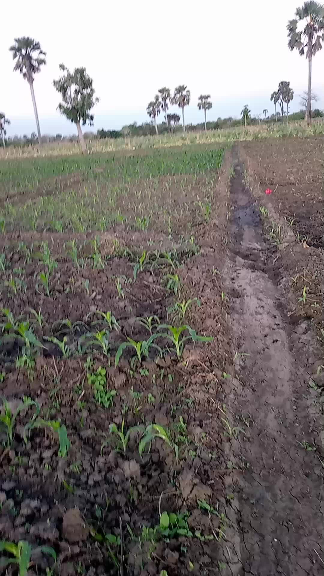 @user565810775125