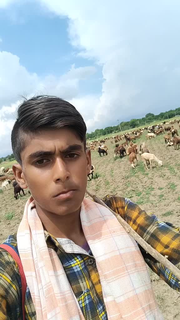 @rajutadichettu@gmail