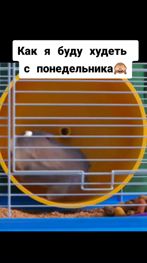 @𓆩Īɍīꞩħ Ȼꝋłⱥ𓆪