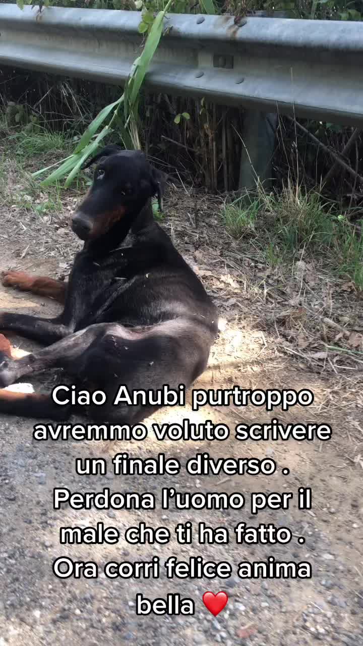 @Marika Falbo