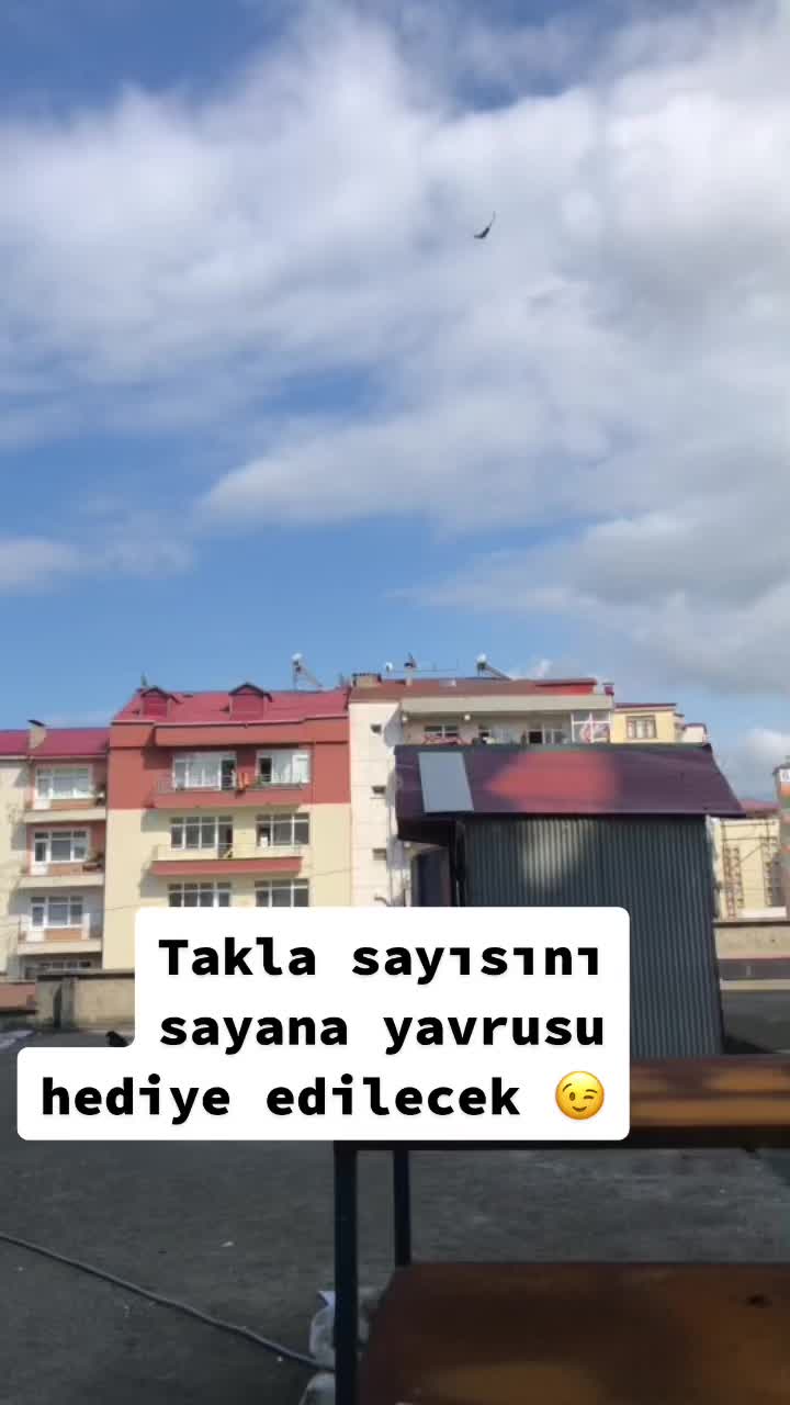 @6ertan1