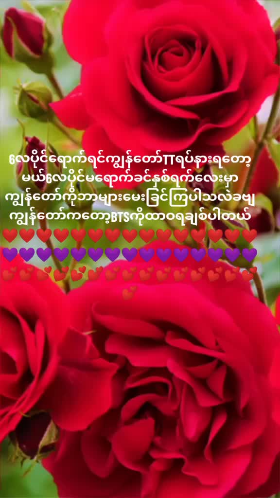 @user4568511398391