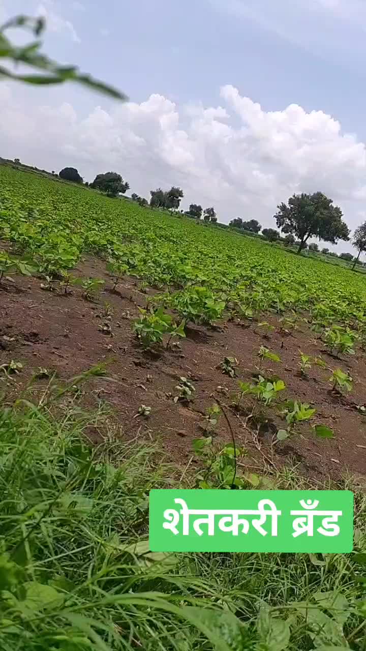 @j.p.mane143