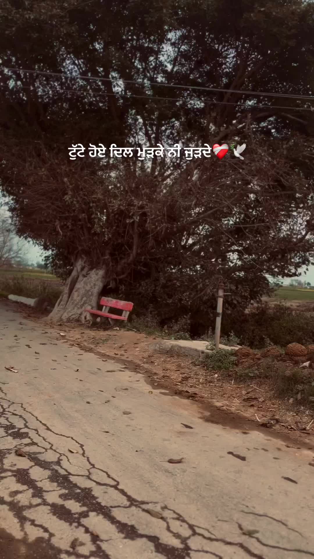 @sabbal_gaxg