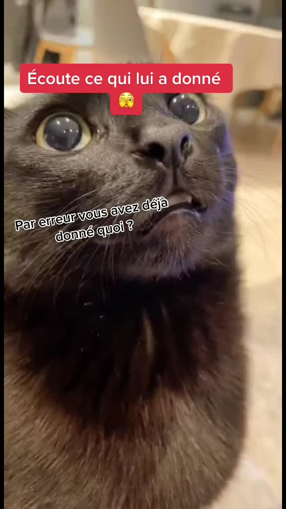 @Pierroooot