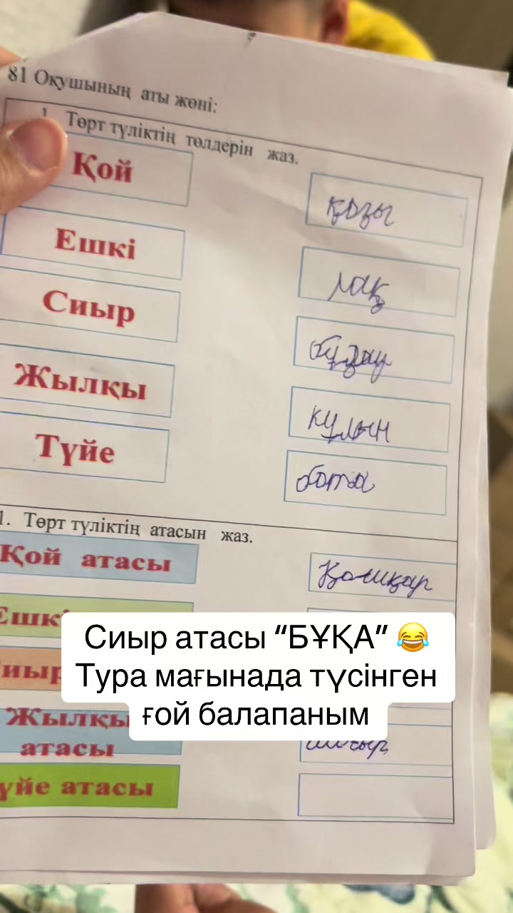 @dinadaulet_