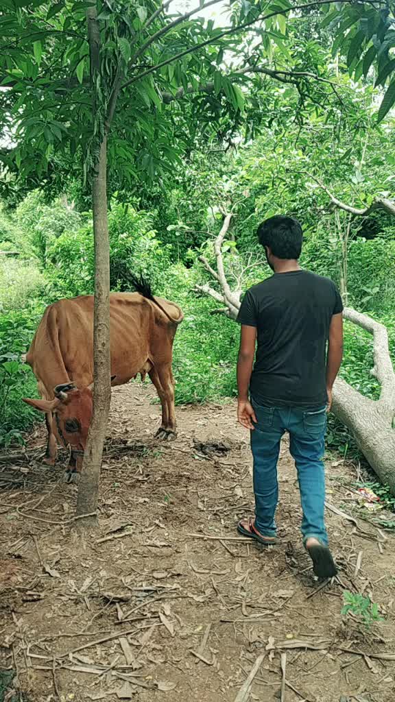 @Goutham Gangula