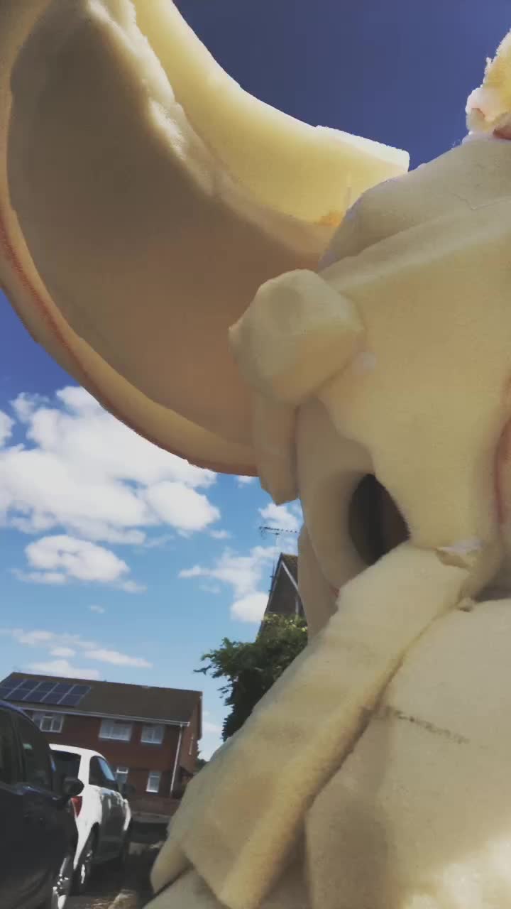 @furry
