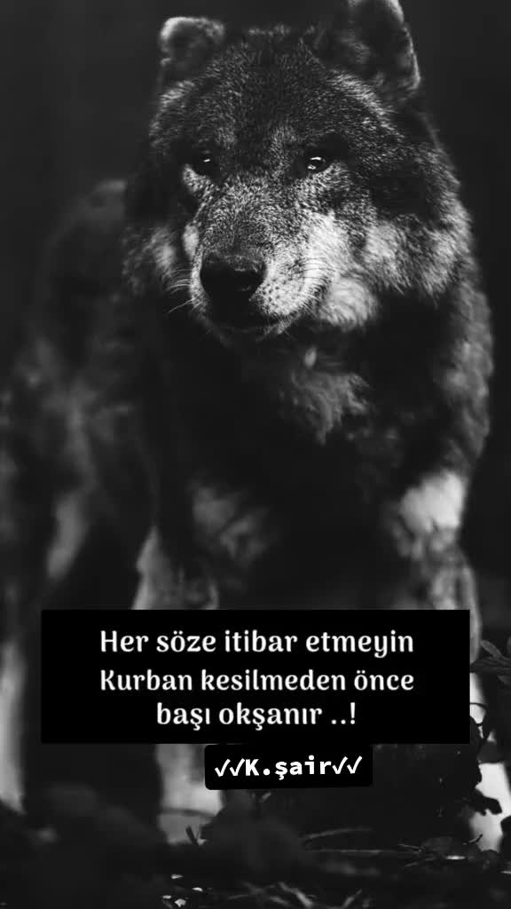 @Yal&ccedil;ın