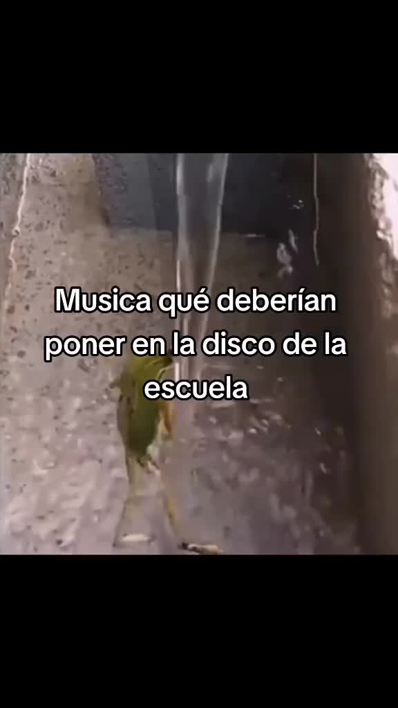 @chae
