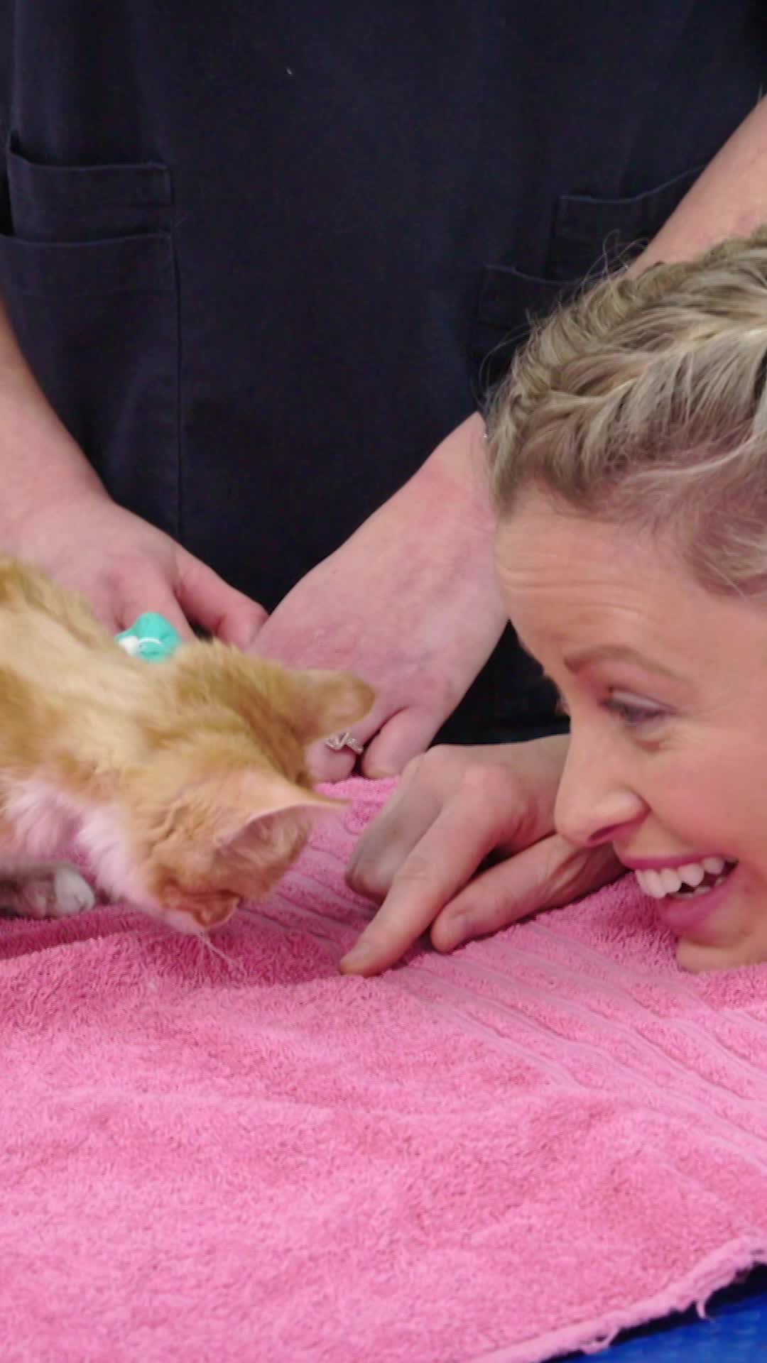 @Bondi Vet