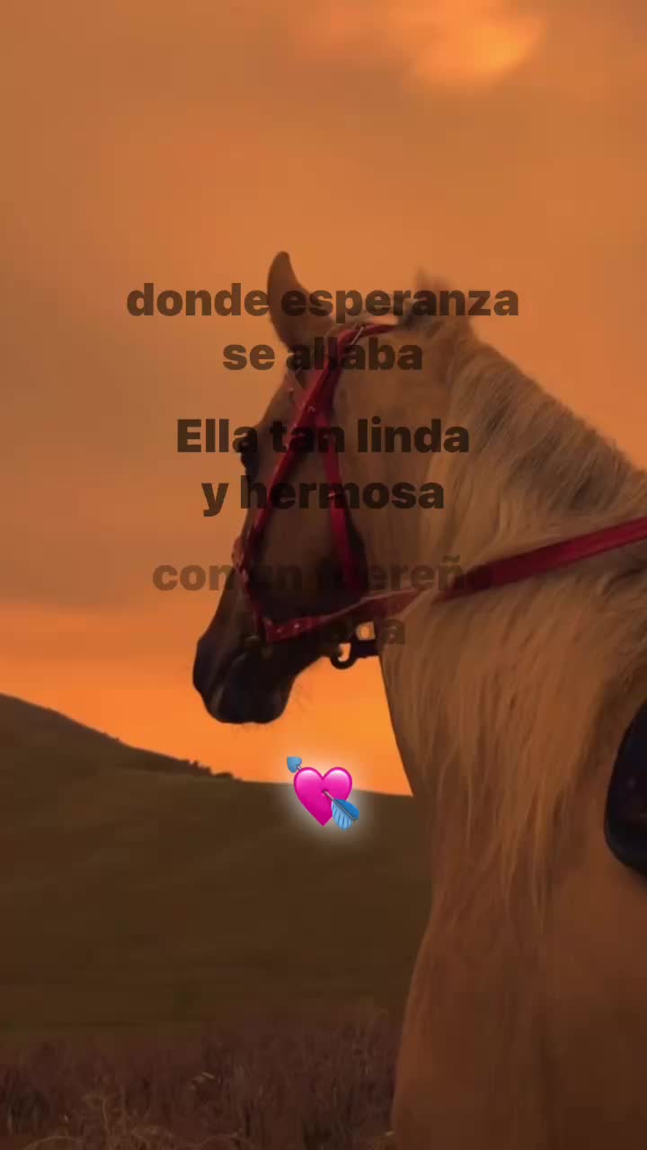 @Norteñas sax