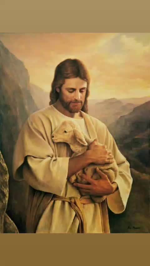 @soporte mije amor mie 💋