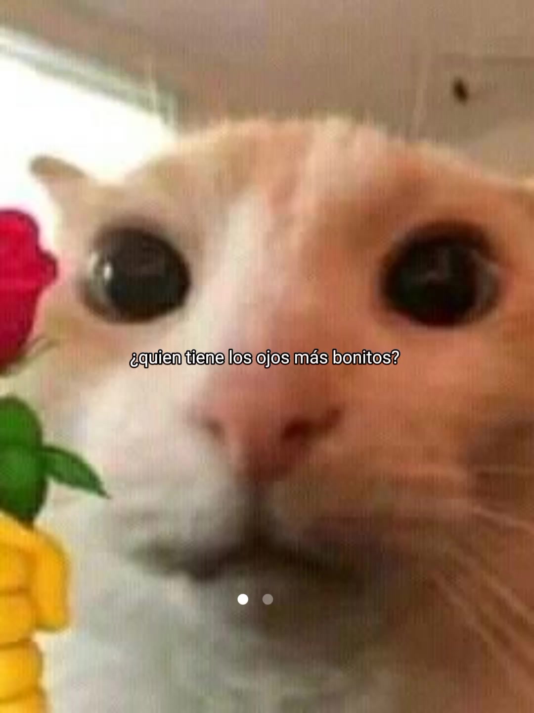 @𖤐٭*ᛟᛇᚽᚱᚽᛇ_Ꮤᛟᚳᚫ٭*𖤐